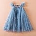 Toddler Girls Summer Flying Sleeve Lace Up Polka Dot Sequin Mesh Dress Princess Dress Fashion Gold (Blue, 3-4 Years)