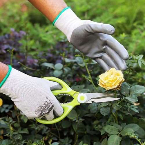 Image of Anandi Green's 3 Stainless Steel Scissors Pointed Tip with Shock Proof Body Ergonomic & Soft Handles for Easy Handling Green Scissor with Cap
