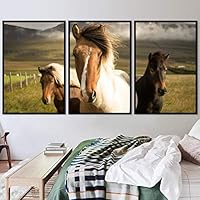 3 Piece Framed Canvas Wall Art Horsing Around Animals Farmhouse/Country Fun Horse Living Room - 16