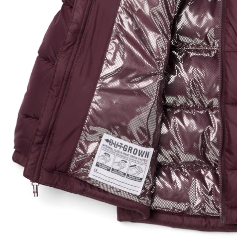 Image of Columbia Kids Pike Lakea ¢ II Hooded Jacket (Little Kids /Big Kids)