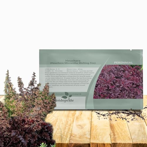 Outsidepride Coral Bells Melting Fire Heuchera Seeds - 50 Pcs Perennial Flower Seeds for Planting with Bell-Shaped Blooms & Colorful Foliage for Borders, Containers, Ground Covers, & Rock Gardens