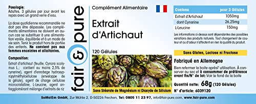 Artisjok capsules - extract gestandaardiseerd op 2,5% cynarine - vegan - natuurlijk - zonder magnesiumstearaat - 120… - Image 5