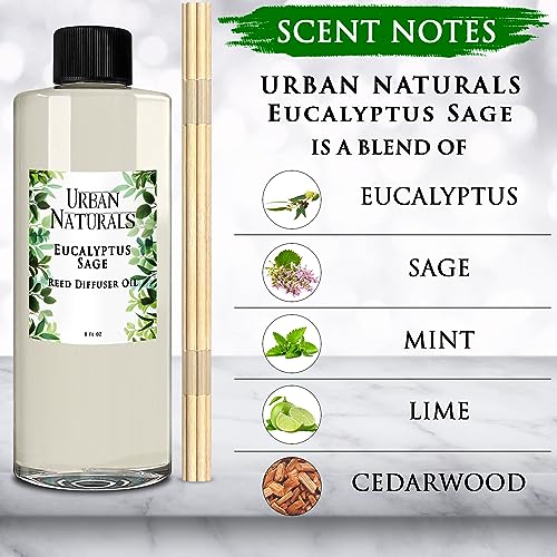 Urban Naturals Reed Diffuser Oil Refill Eucalyptus Sage with Mint, Lime, Cedarwood 8 oz + Free Reed Sticks, Made in The USA - Image 4