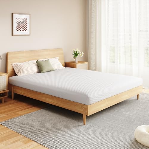 Aidlisi 5 Inch Queen Size Mattress in a Box,Memory Foam Mattress for Comfort Sleep, Cooling Night Sleep & Pressure Relief, Ships Compressed (5