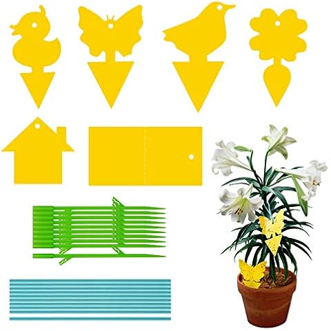 Surmounty 90PCS Fruit Fly Traps, Yellow Dual Sided Sticky Fly Sticky Traps Fly Paper Stickers, for Mosquitoes, Houseplant, Garden Cover