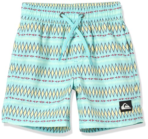 Quiksilver-Boys-Quiksilver-Boys-Everyday-Heritage-13-Volley-Boardshort-Swim-TrunkBoard-Shorts Quiksilver Boys Quiksilver Boy's Everyday Heritage 13 Volley Boardshort Swim TrunkBoard Shorts - Image 1