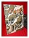Produktbild Gaudi / Xavier Miserachs & Lluis Permanyer (A Portfolio of Six Excellent, Stiff-Card Photos)