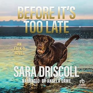 Before It's Too Late Audiolibro Por Sara Driscoll arte de portada