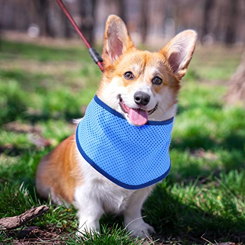Talltalk 8 Pieces Dog Cooling Bandana Cooling Collar For Dog Ice Dog Bandana Instant Cooling Bandanas For Dogs Cooling Dog Collar Cooling Bandanas For Dog Cat Calming Hot Weather Summer (Large) #TOP3