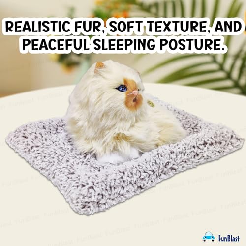 Image of FunBlast Cute Cat Plush Toy with Meow Sound, Toy Accessories for Car Dashboard & Home Decor, Realistic Cat Pet Toys with Bed, Gift for Kids (Brown-Random)