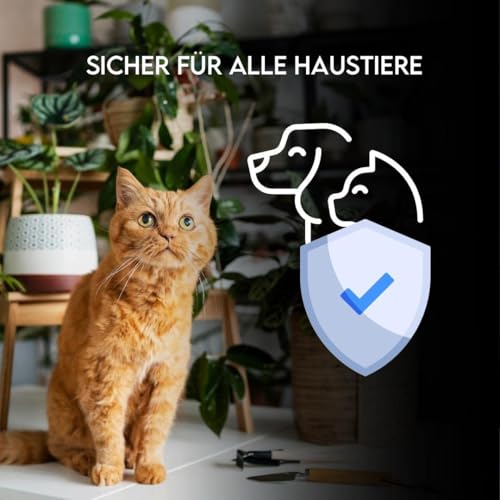 ZOMA Radinat Wurzelholz für Stecklinge, 100 % biologisch, Wurzelpulver mit Pilz-Projektoren zur Wurzelbildung und Keimung, Biostimulator aus den Wurzeln