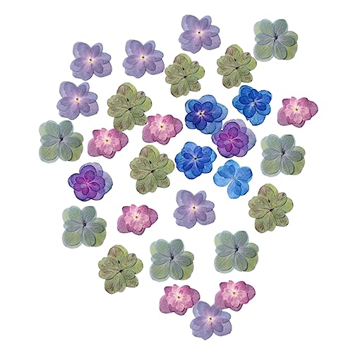 Happyyami 30pcs Flores Secas DIY para Manualidades miniatura 1