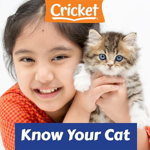 Know Your Cat by Amy Tao episode artwork