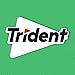 Trident Spearmint Sugar-Free Chewing Gum, Bulk, 24 Packs of 14 Pieces (336 Total Pieces)
