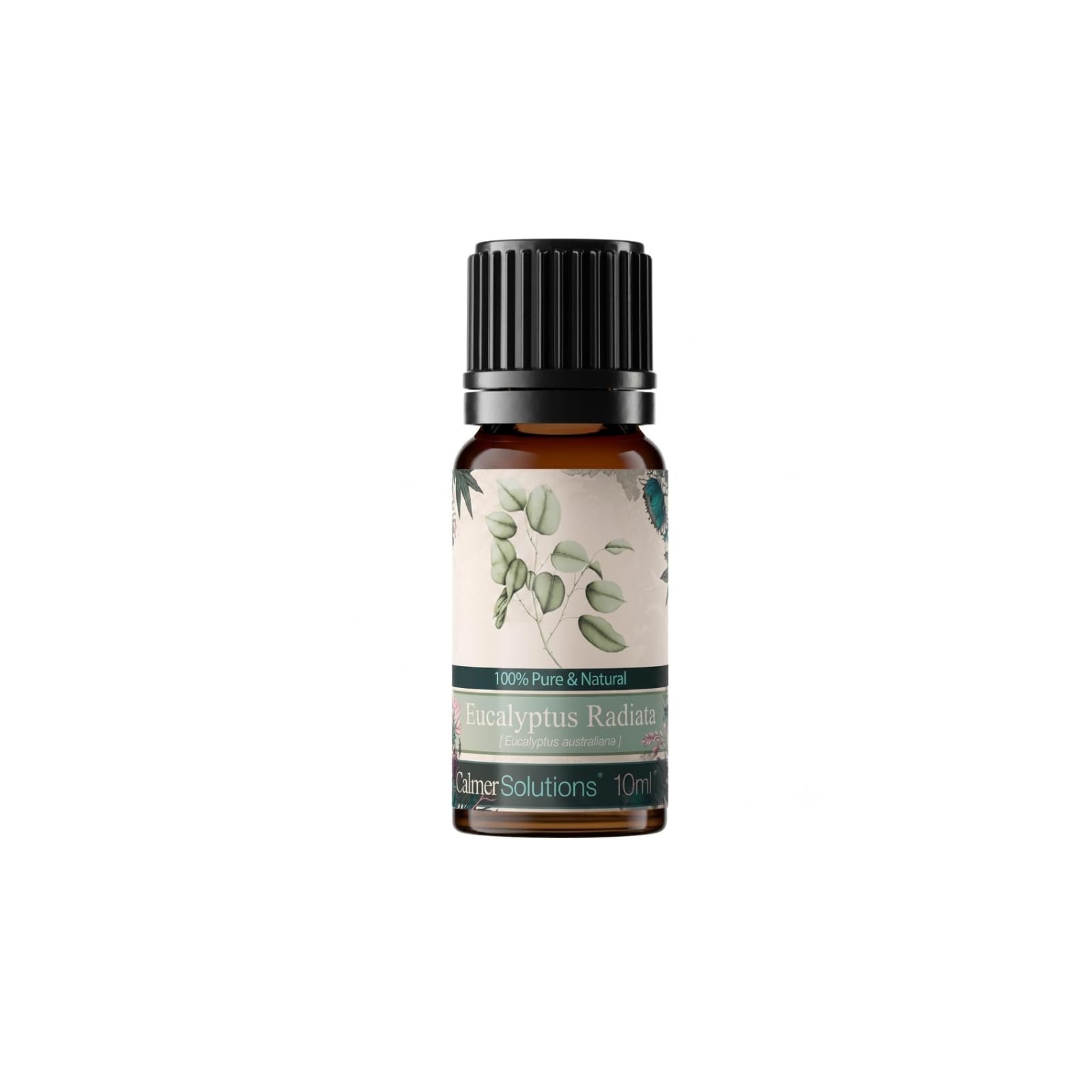 Calmer Solutions Eucalyptus Radiata Essential Oil 10ml – 100% Pure & Natural Steam Distilled Eucalyptus Radiata Oil – Fresh Sweet Aroma for Aromatherapy, Diffuser & Home – UK Bottled Essential Oil