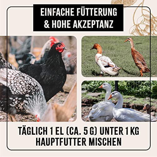 FarmLife Bierhefe für Hühner & Geflügel Spezial Mix 1kg – Natürliche Futterergänzung aus Bierhefe BT, Aroniabeere & Leinkuchenmehl, Unterstützt Verdauung, Haut & Federbildung