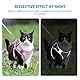 Brifit Katzengeschirr, Katzen Geschirrset Ausbruchsicher mit Reflektierenden Streifen, Verstellbar Cat Harness mit Leine 150cm, Katzen Geschirr für Kleine Kitten Hunde [Rosa XXS] für 2-3kg Pet