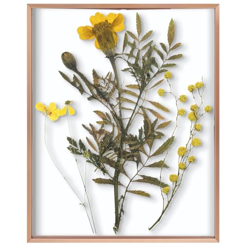 Frametory, Schwebender Bilderrahmen, 40,6 x 50,8 cm, Aluminium-Bilderrahmen, Echtglas der Vorderseite, für Wandmontage, Rotgold – Ansicht 1