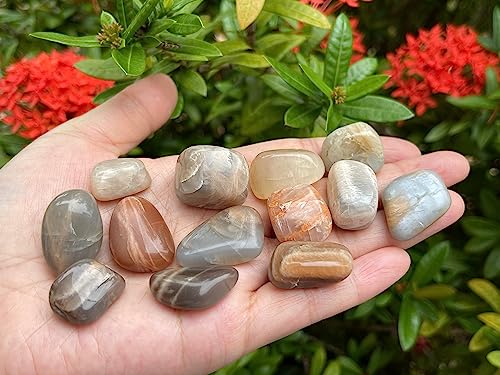 Image of 1 /2 LB Moonstone Multi Tumbled Stones, Polished Natural Moonstone Multi Gemstone, Moonstone Multi Healing Crystals (Moonstone Multi)