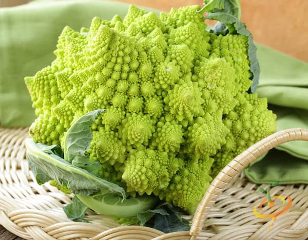 See full amazon price history chart for VibeX Broccoli Varieties-Romanesco-250 Seeds VibeX Broccoli Varieties-Romanesco-250 Seeds (B0B9Y27HMB) Amazon Price History, Amazon Price Tracker