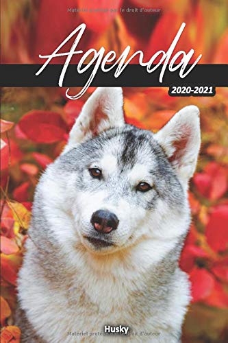 Télécharger Agenda 2020-2021 / Husky: Année scolaire (Septembre 2020 - Juillet 2021) | 2 jours par page | Calen Francais PDF