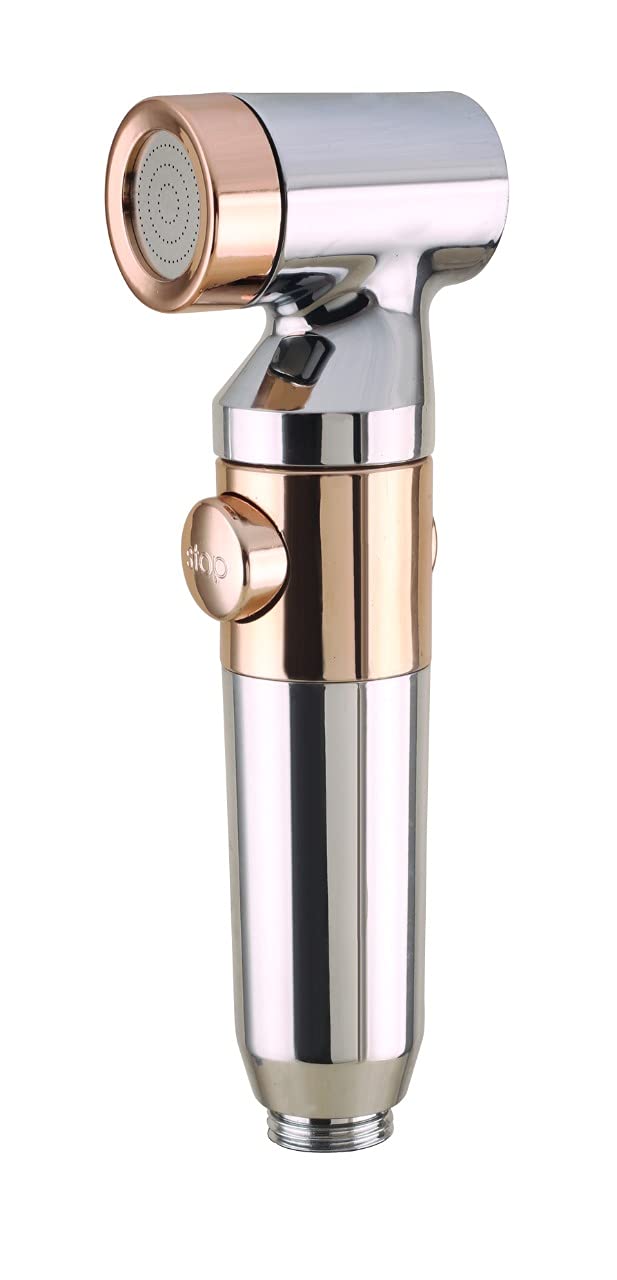 HARISTO Health Faucet Gun ABS, Stainless Steel 701 (B0983RYBXF) Amazon Price History, Amazon Price Tracker