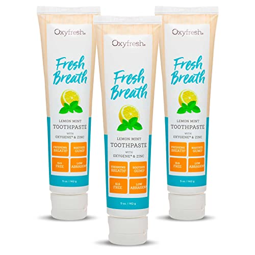 Oxyfresh Premium Maximum Fresh Breath Lemon Mint Toothpaste - Cle...