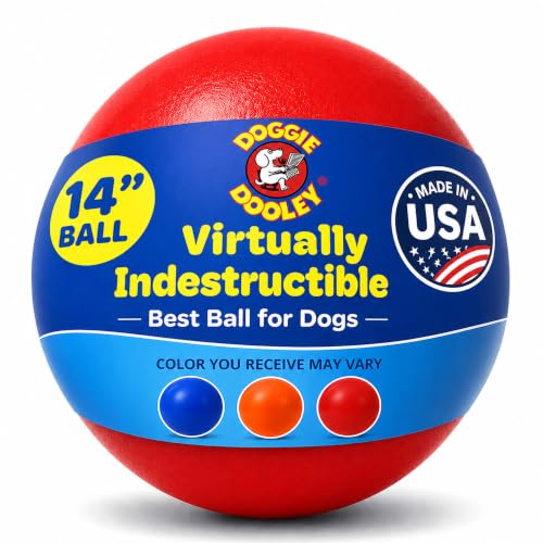 Doggie Dooley Virtually Indestructible Dog Ball - 14 Inch Hard Plastic Interactive Dog Toy for Large...