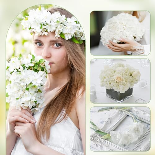 1500 pétalos de hortensia blanca natural seca 30g miniatura 5