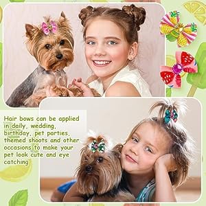 240 Pieces Dog Hair Bows for Summer Small Pet Hair Bows Puppy Bow with Rubber Bands Flamingo Fruit Bows with Rhinestones Small Pet Grooming Bowknot Girl Dog Accessories for Party (Cute Pattern) 240 Pieces Dog Hair Bows for Summer Small Pet Hair Bows Puppy Bow with Rubber Bands Flamingo Fruit Bows with Rhinestones Small Pet Grooming Bowknot Girl Dog Accessories for Party (Cute Pattern)