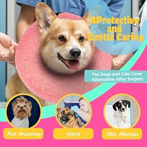 Big-Hippo-Inflatable-Dog-Collar-Protective-Dog-Neck-Donut-Collar-Soft-Pet-Recovery-Collar-for-Dogs-and-Cats-After-Surgery-Pink-Large - Cucciolini Doodles   Big-Hippo-Inflatable-Dog-Collar-Protective-Dog-Neck-Donut-Collar-Soft-Pet-Recovery-Collar-for-Dogs-and-Cats-After-Surgery-Pink-Large