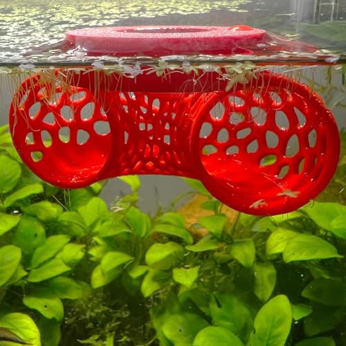 Image of Floating Betta Tunnel for Betta Training. Interactive Training & Enrichment Toy for Betta Fish - Stress Relief & Exercise Accessory, Floating Betta Fish Toys