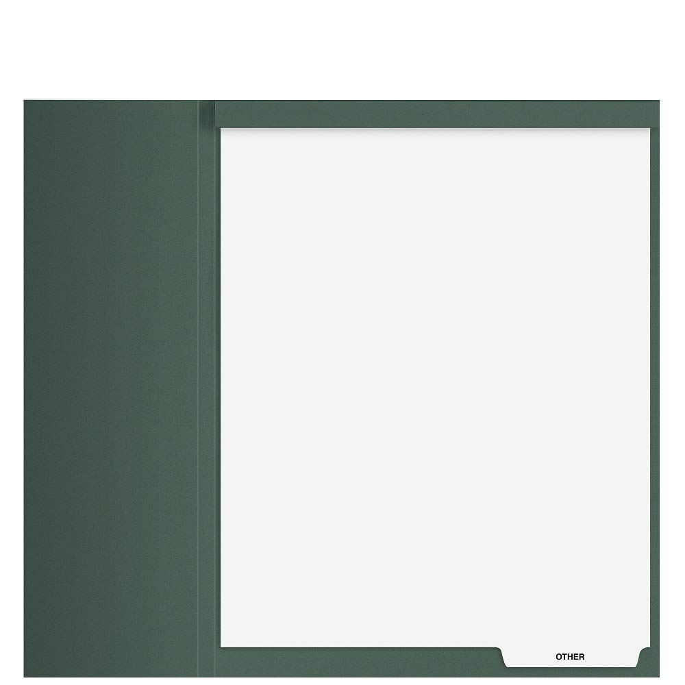 Other' Index Tab Divider with Top-Staple, 100/Pk