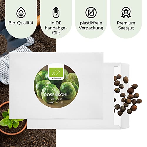 BIO Rosenkohl Samen (Groninger, 30 Korn) - Rosenkohl Saatgut aus biologischem Anbau ideal für die Anzucht im Garten, Balkon oder Terrasse