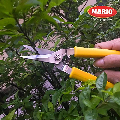 Image of Mario Scissors for Gardening /Purnning Work - 8.26 inch / 210 mm - Strong Cutting Scissors, Safe to Handel - Premium Stainless Steel Blade Scissors - MGS 700