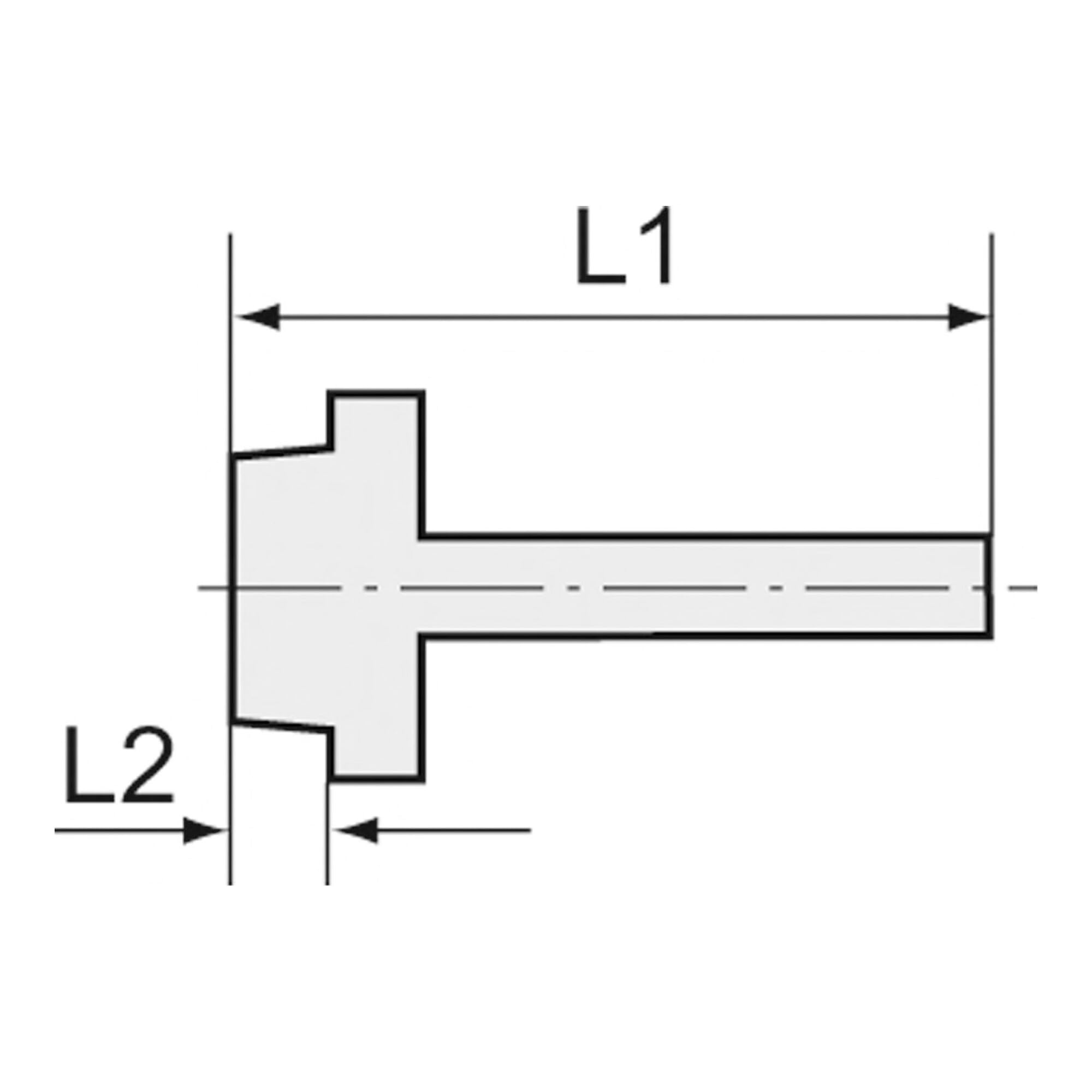 Raccord de tuyau à visser R 2 a, pour tuyau LW 50 mm, SW 70, en laiton, pression de travail max. 25 bars, tampon de fonctionnement. Charge maximale : 150°C