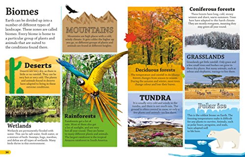 Earth (DKfindout!) - Image 5