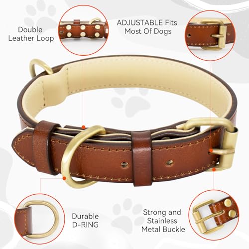 Dote on Leather Dog Collar and Lead Set Adjustable Genuine Soft Leather Dog Collar of Padded for Small Medium Large Dogs(Brown, S) - Image 3