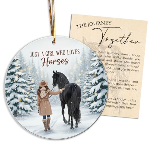 Horse Ornament Gifts for Women, Horse Lover Christmas Ornament for Women Girls, Equestrian...