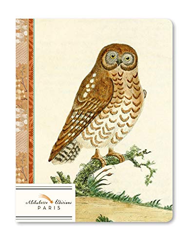 Alibabette Editions Paris - Chouette (Owl) - Petit Perfect-Bound Notebook - 100 Numbered Pages, 5.9 x 3.93 inches,"Soft Touch" Cover