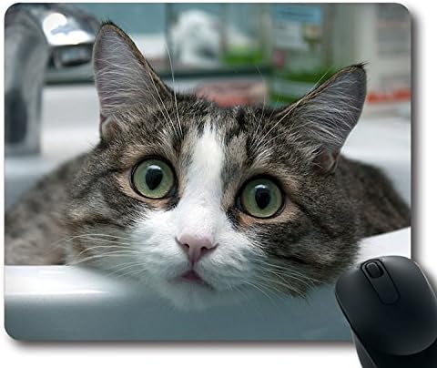 Custom Special Mouse Pad with Cat Sink Eyes Wash Basin Non-Slip Neoprene Rubber Standard Size 9 Inch(220mm) X 7 Inch(180mm) X 1/8 Inch(3mm) Desktop Mousepad Laptop Mousepads Comfortable Computer Mouse Mat