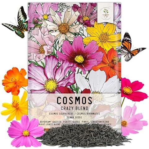 Seed Needs, 3,000+ Cosmos Flower Seeds 10+ Varieties Specialty Crazy Blend (Cosmos Bipinnatus, Open Pollinated, Untreated) Flowering Seeds Mixed Color Blooms, Butterfly Garden Variety - Bulk Cover