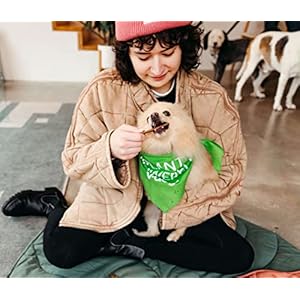 V-dog-Kind-Jerky-100-Vegan-Jerky-Dog-Treats-Plant-Based-Protein-and-Superfoods-8-Ounce-All-Natural-Made-in-The-USA - Cucciolini Doodles   V-dog-Kind-Jerky-100-Vegan-Jerky-Dog-Treats-Plant-Based-Protein-and-Superfoods-8-Ounce-All-Natural-Made-in-The-USA