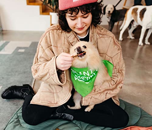 V-dog-Kind-Jerky-100-Vegan-Jerky-Dog-Treats-Plant-Based-Protein-and-Superfoods-8-Ounce-All-Natural-Made-in-The-USA - Cucciolini Doodles   V-dog-Kind-Jerky-100-Vegan-Jerky-Dog-Treats-Plant-Based-Protein-and-Superfoods-8-Ounce-All-Natural-Made-in-The-USA