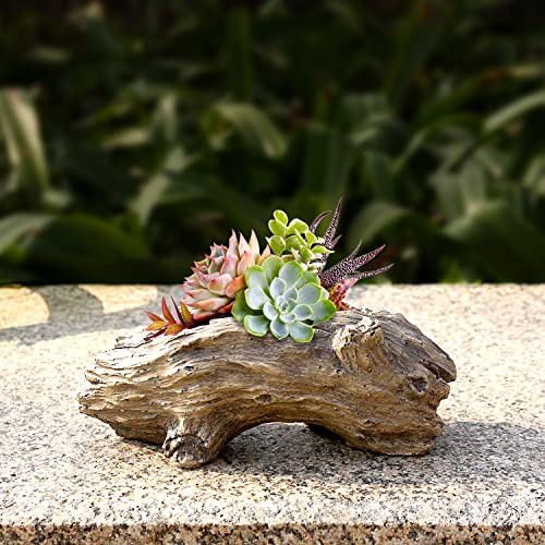 Aclema Succulent Planters Driftwood Planter Succulent Pots Small Plant Flower Cactus Pots Tree Stumb Wood Planter With Drainage Hole #TOP4