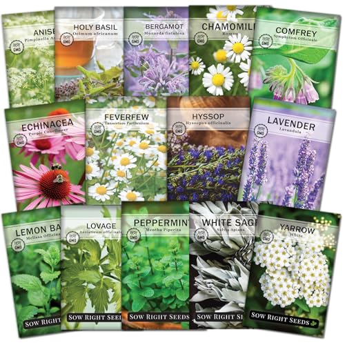 Sow Right Seeds - Large Medicinal Herb Seed Collection for Planting - Chamomile, Echinacea, Lavender, Mint, Lovage, Lemon Balm, & More - Non-GMO Heirloom for Home Remedies, Teas, Tinctures