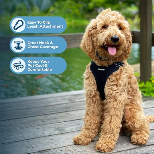 Image of Best Pet Supplies Voyager Adjustable Step-in Flex Breathable Mesh Dog Harness for Small Medium Large Dogs Leash Set (Black), XS