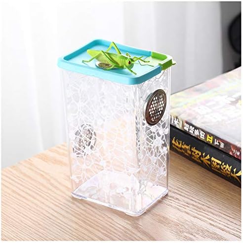 crapelles educational science activities colored cage mantis habitat butterfly spider bottle frog insect cricket snail box bug catcher critter caterpillars container breathable outdoor science and nat