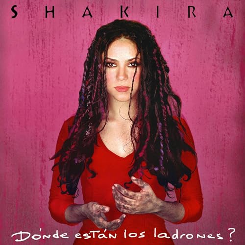 496 - D&oacute;nde Est&aacute;n los Ladrones?