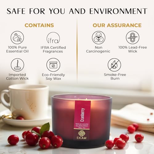 Image of EKAM 3 Wick Soy Wax Scented Candle | Cranberry Fragrance | 35 Hr Burn | Long Lasting Premium Jar Candle for Home Decor, Relaxation & Gifting